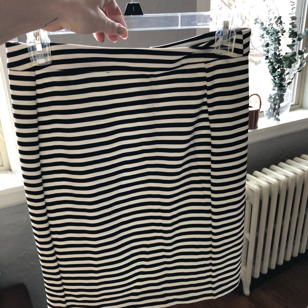 Zara Pencil Skirt